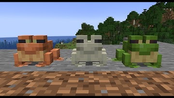 How to Spawn Different Type of Frogs in Minecraft Java