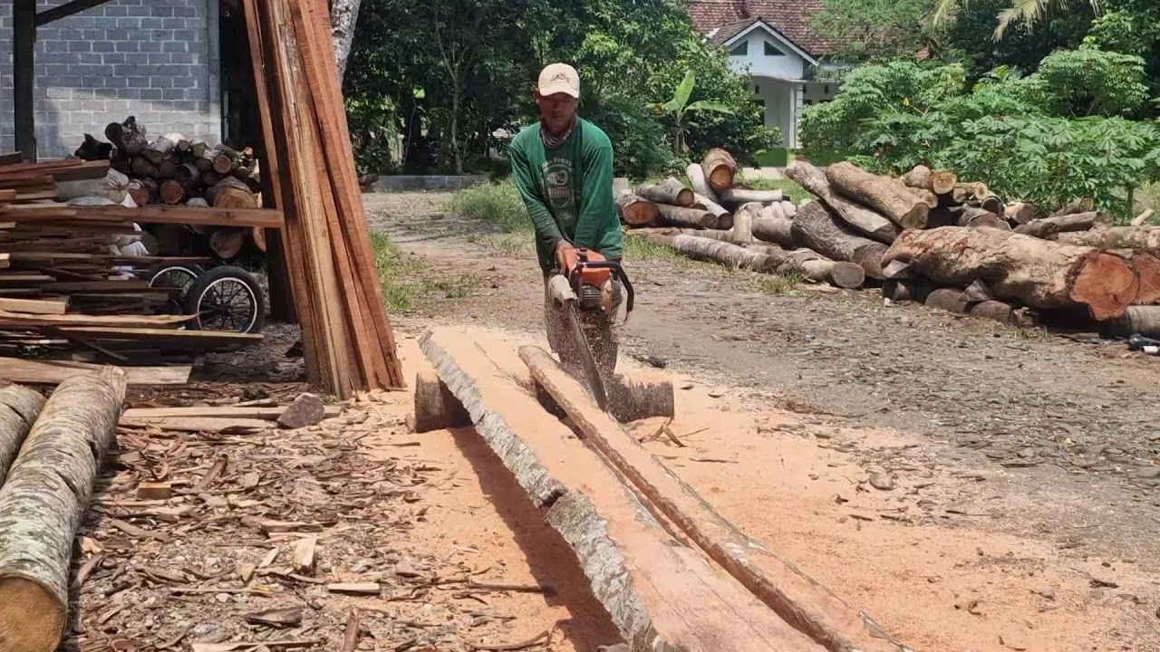 Ultimate Chainsaw Wood Processing Skills - YouTube
