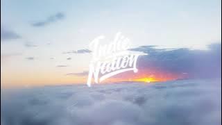 dijon - WILD