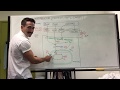 Metabolism Mechanisms: A Deep Dive into Macronutrients and Energy Production