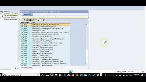 SAP Cyber Security Risk SU10
