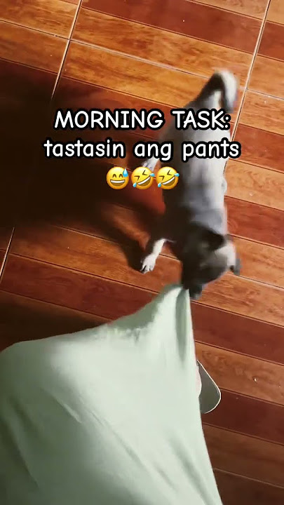 Okay, take it slow, Con😅 #furbaby #philippines #funny