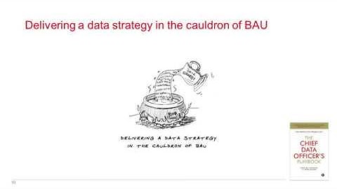 The CDO Playbook - Caroline Carruthers, Peter Jackson