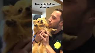 Famous Moments before disaster #rip              #LoganPaul #Maverick #Impaulsive Wealth