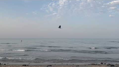 سورة الكهف كامله | فيصل الرشود | سوره كامله | #تصويري | قرآن تايم Qur2an time