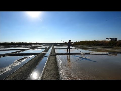 Salt harvest gets underway in France's Guerande region | AFP