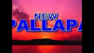 NEW PALLAPA | PERCUMA - WIWIK SAGITA