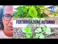 Come Fertirrigare in Autunno | Coltivazione Naturale Risposte ad alcune Domande [#03]