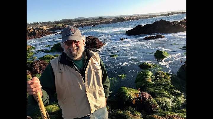 Rocky Intertidal Master Dr John Pearse: The Legacy...