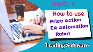 Part 1: How to trade forex on Price Action Strategy using Robot EA Tutorials