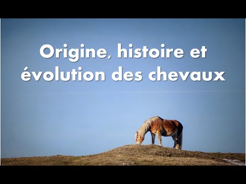 Vidéo: Quels Animaux étaient Les Ancêtres Du Cheval Moderne