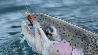 Fly Fishing British Columbia 2012