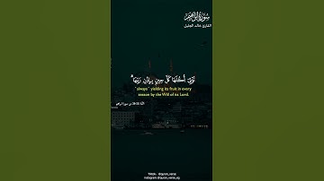 خالد الجليل #قران كريم #راحة نفسية #سورة ابراهيم