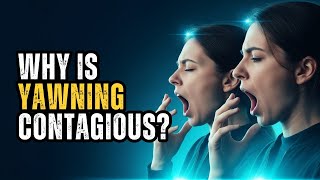 What No One Tells You About Why You Yawn When Someone Else Does