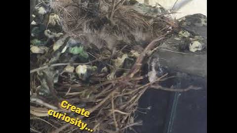 Remote Learning Teacher Tips: Micro Videos For Junior Grades