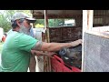 Pig Farming Adventure | Rambo The Legendary Duroc | Farm Vlog