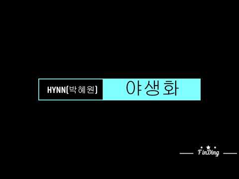 HYNN 박혜원 야생화 오디오