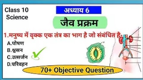 जैव प्रक्रम Objective Question Class 10 ||Chapter 6 jaiv prakram MCQ || भाग 1 #biology #viralvideo 