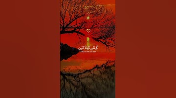 ما أجمل❤ القرآن الكريم 💖🌺🌹 #قران_كريم #المصحف #راحة_نفسية ❤️‍🩹💖✨🤍🌹