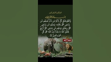 قران كريم  راحه نفسيه #اكسبلور #duet #دويتو #تيك_توك #لايك #ترند