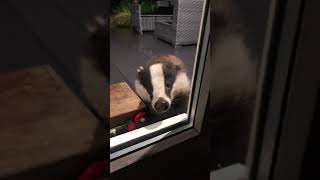 My all time favourite video of Mr Lumpy ❤