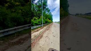 Download Lagu Bunga yang indah di tepi jalan arah tempat kerja #nature #pemandanganbagus #explore MP3 Download Lagu Bunga yang indah di tepi jalan arah tempat kerja #nature #pemandanganbagus #explore MP3