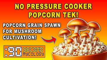 Grow Gourmet Mushrooms Fast with Popcorn Tek—No Pressure Cooker Needed