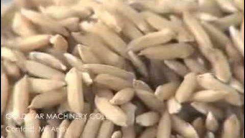 SR-K610 manual rice seeding in trays