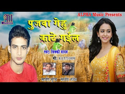 pujwa-gehu-kate-gail-||-new-bhojpuri-song-||-by-vicky-yadav