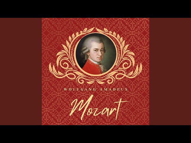 その他 Salzburg Festival the [DVD] [Import] その他 Salzburg Festival the [DVD] [Import] The Salzburg