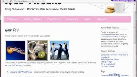 Tutorial NextGen Gallery in your WordPress website