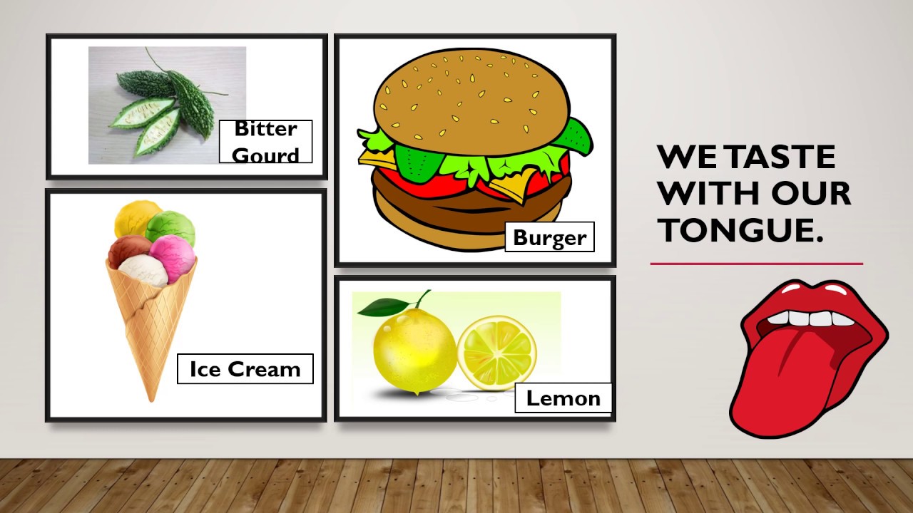 PPT On SENSE ORGAN For Class 1 YouTube