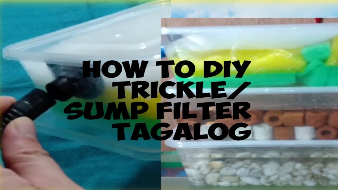 HOW TO DIY TRICKLE/SUMP FILTER TAGALOG SUB. YouTube
