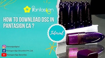 HOW TO DOWNLOAD DSC | PANTASIGN CA |