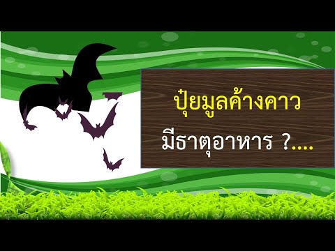 วีดีโอ: ใช้สำหรับมูลค้างคาว (หรือค้างคาวกวน) ในสวน