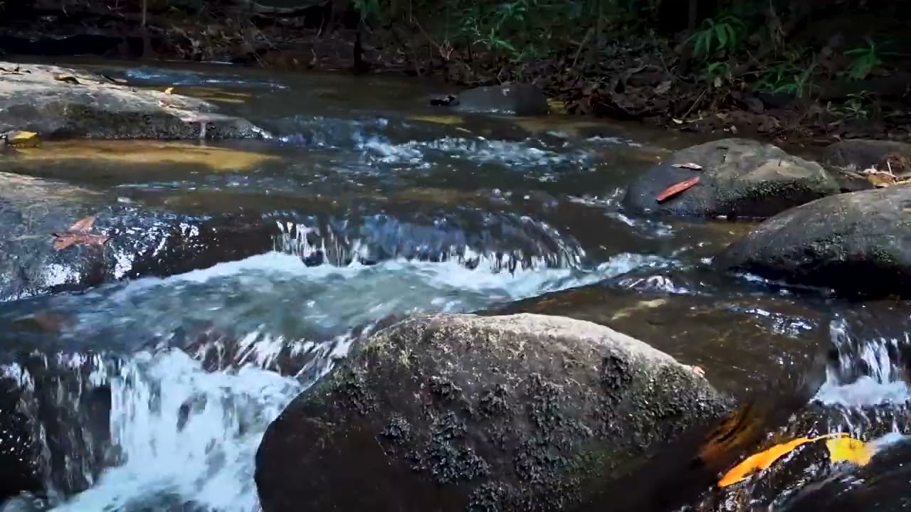 Serene Piano Music with Natural Stream Ambience