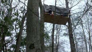 Law enforecment agencies spending more than $80,000 monitoring Bent Mountain tree-sitters