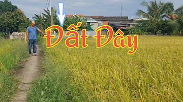 Mảnh đất lúa vừa túi tiền anh chị em đây được chuyển thổ cư 533m2 giá 580 triệu phước tuy cần đước