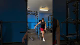SA DB RFE Split Squat