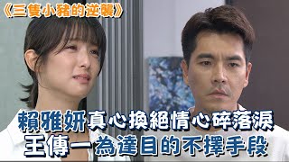 《三隻小豬的逆襲》賴雅妍真心換絕情心碎落淚 王傳一為達目的不擇手段 《三隻小豬的逆襲》賴雅妍真心換絕情心碎落淚 王傳一為達目的不擇手段
