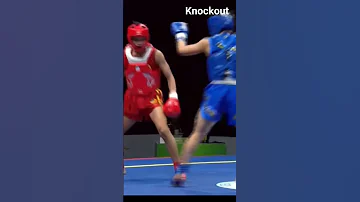 Just Starting And Knockout Wushu Fights 