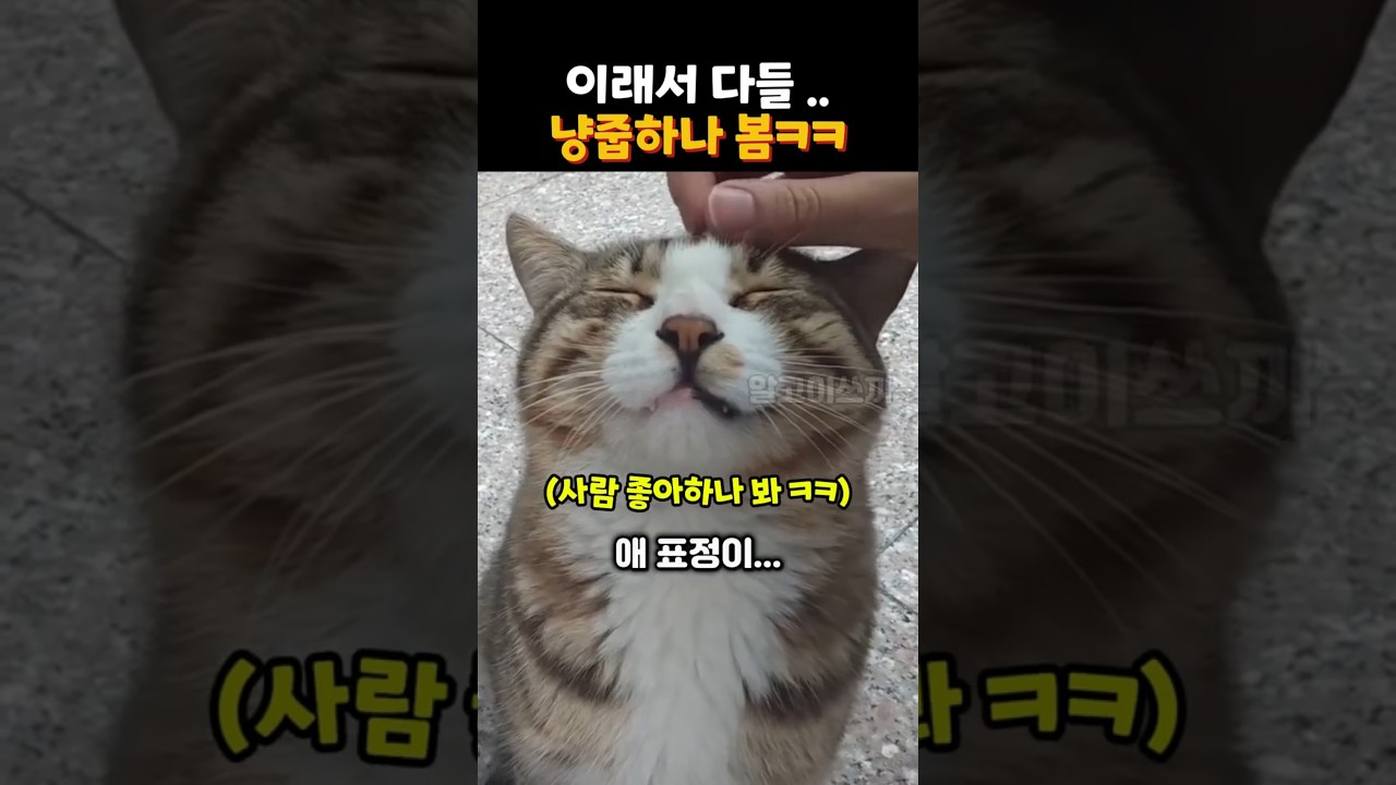 이건 내가 주워갈래ㅋㅋ