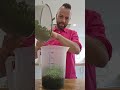 Mag dein Kind Erbsen?