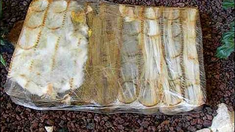 Vintage Rust Dye  on Silk. Demo Part4  http://felt4u.etsy.com   http://felt4uart.blogspot.com