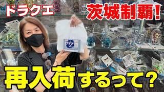 [Dragon Quest] Hunting for Metallic Monsters in Ibaraki! Finally signs of a restock...!