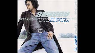 DJ SANDY REMIX SHAGGY featuring SEAN PAUL Hey sexy lady 115 BPM Resimi