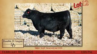 Double D Angus | February 18, 2025