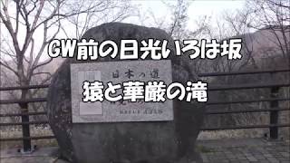 ゴールデンウィーク前の日光いろは坂　猿と華厳の滝