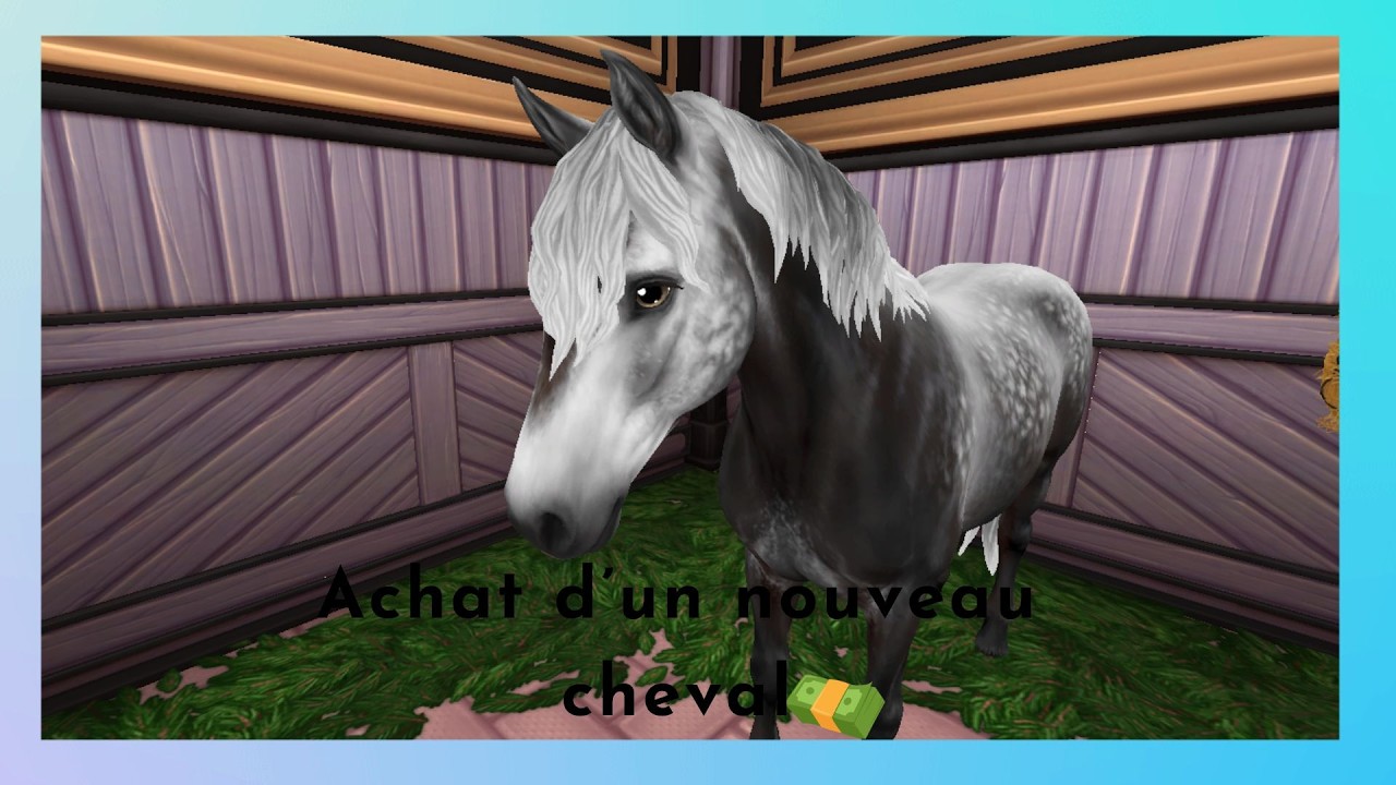Achat d'un connemara 💗/Star Stable Online