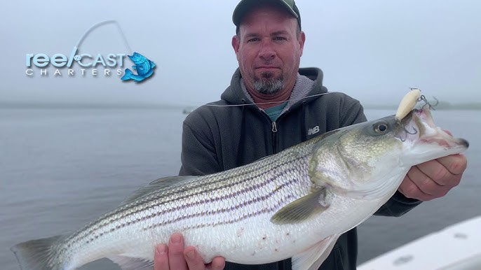 How to fish the Rebel Jumpin' Minnow for Striped Bass 